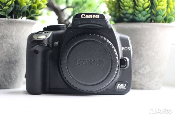 Canon 350d body