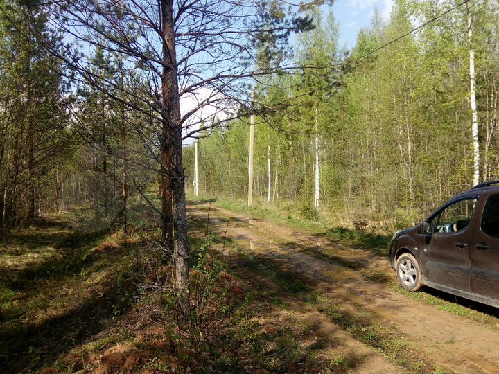 Участок 10 сот. (ИЖС)