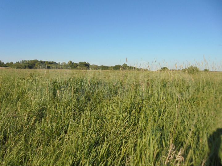 Участок 3 га (СНТ, ДНП)