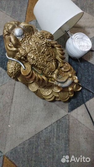 Денежная жаба большая