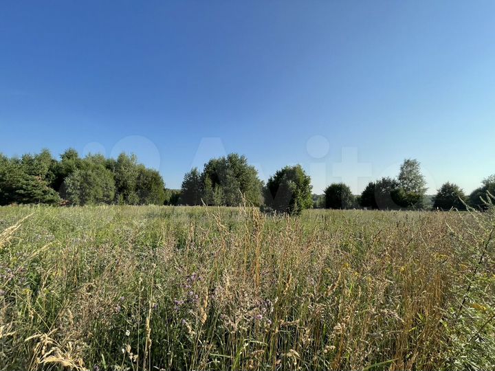 Участок 10 сот. (СНТ, ДНП)