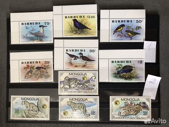 Почтовые марки. Животные (фауна)