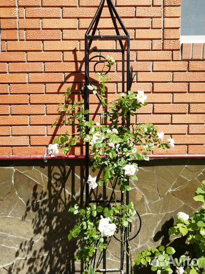 Подставка для плетистой розы