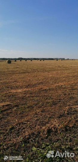 Продажа сено в тюках