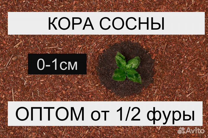 Кора сосновая, гумус до 1 см. Оптом
