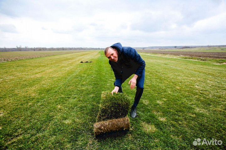 Газон рулонный гарантия