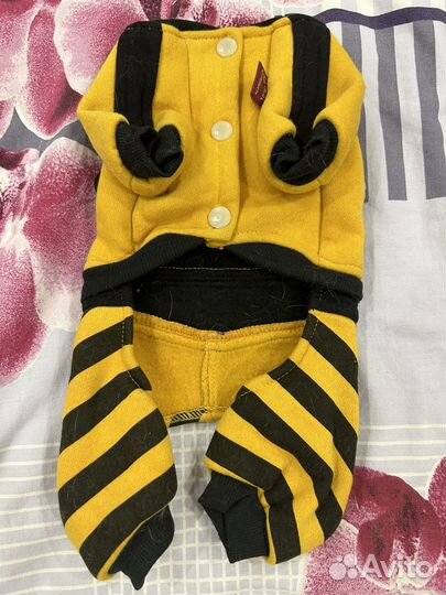 Одежда на собаку/кошку