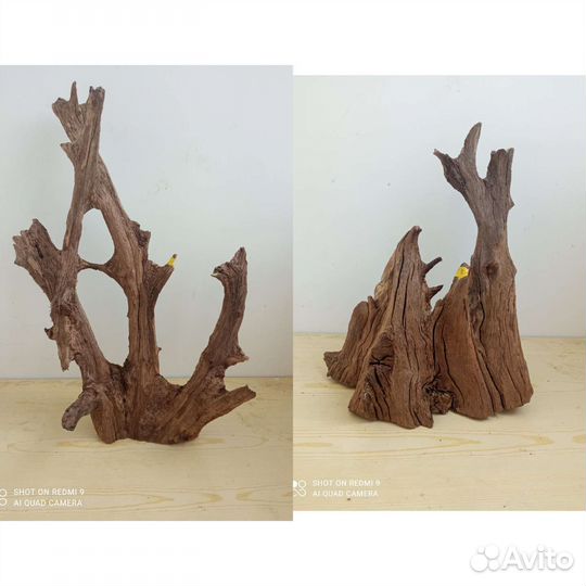 Дубовые коряги для аквариума