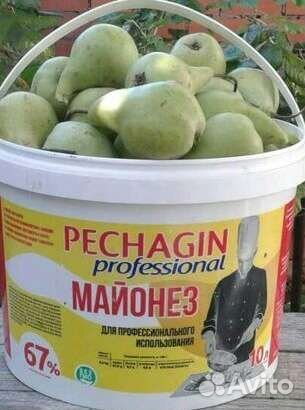 Груша крупная зимняя кисло-сладкая другой сорт