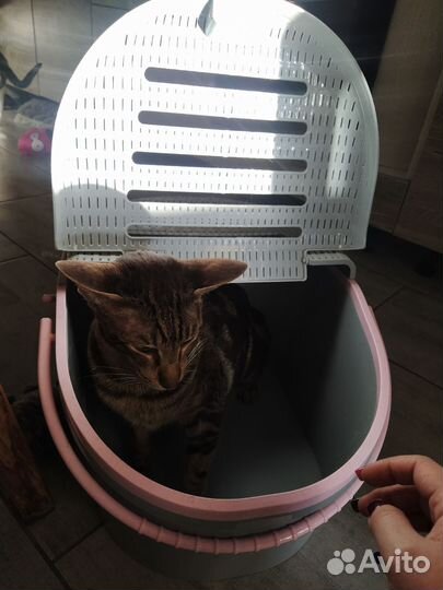 Корзина переноска для животных