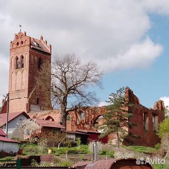 Экскурсии по Калининграду и области