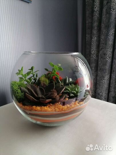 Флорариумы и моссариумы на заказ