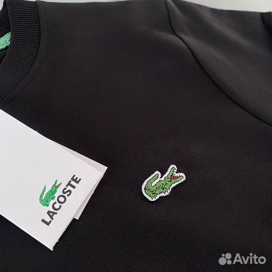 Свитшот Lacoste