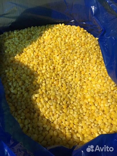Кукуруза в зерне Индия. Целое зерно
