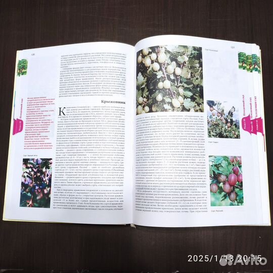 Энциклопедия дачника