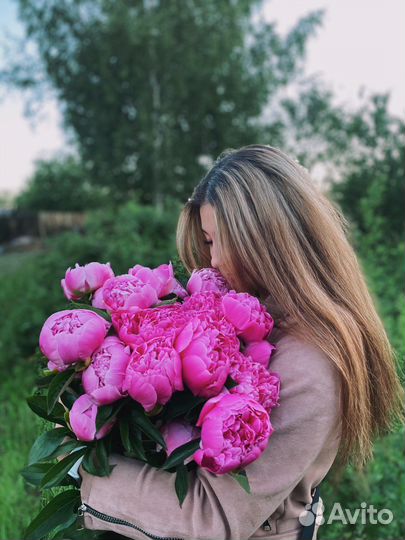 Корни пионов