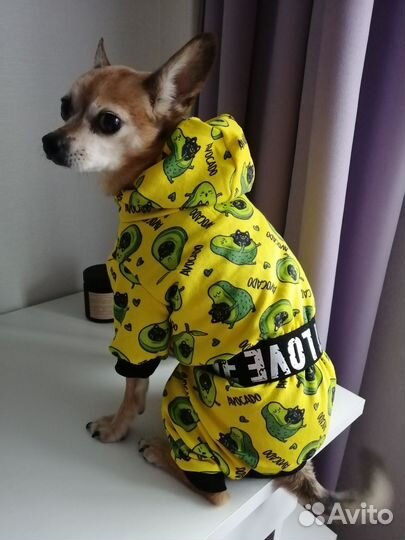 Одежда для собак, кошек