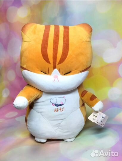 Рыжий китайский кот