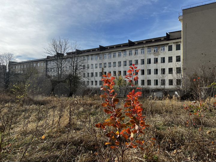 Здание, офисное