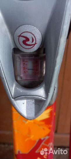 Горные лыжи