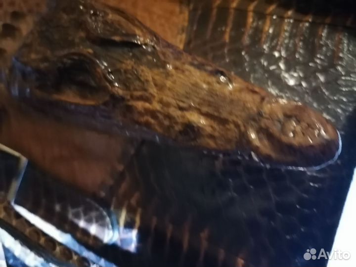 Эксклюзивная сумка с головой и лапами крокодила