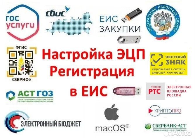 Настройка эцп, Криптопро, Регистрация в еис