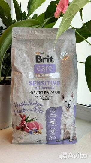 Корм для собак Brit care