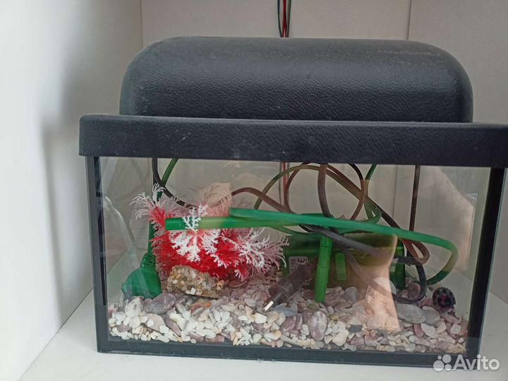 Аквариум 3л