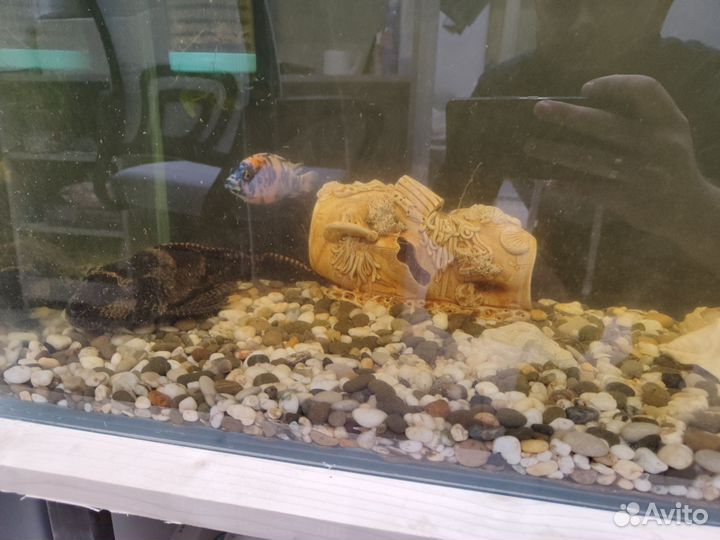 Аквариум 180 литров укомплектованный