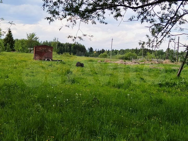 Участок 18,5 сот. (ИЖС)