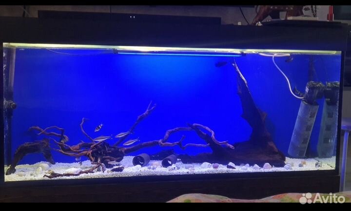 Аквариум 405 литров