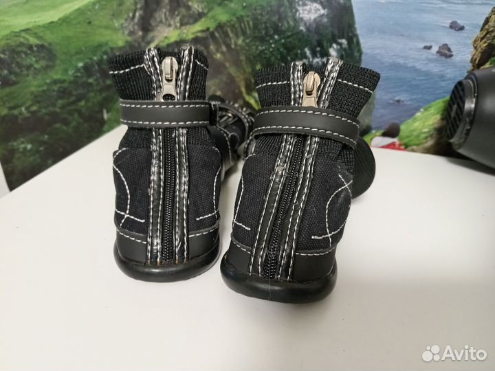 Обувь для собак