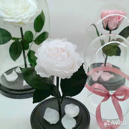 Живые цветы в колбе