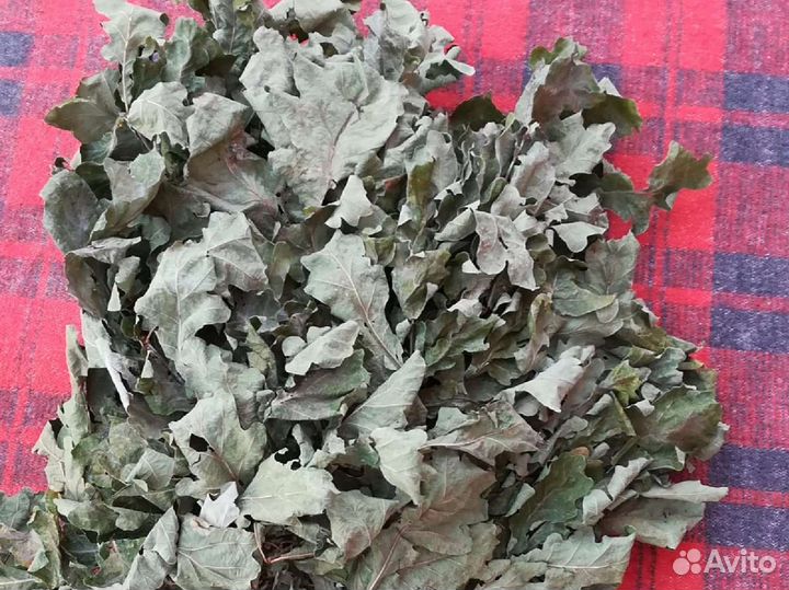 Дубовые веники для бани