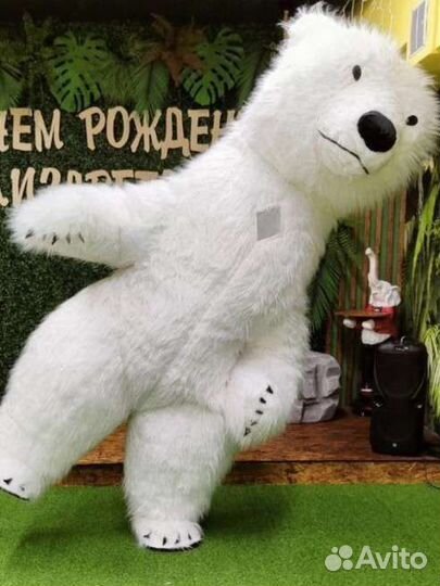 Белый мишка, аниматор