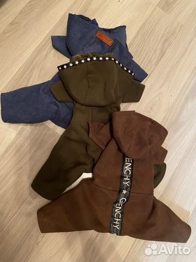 Комбинезон и куртка для собаки