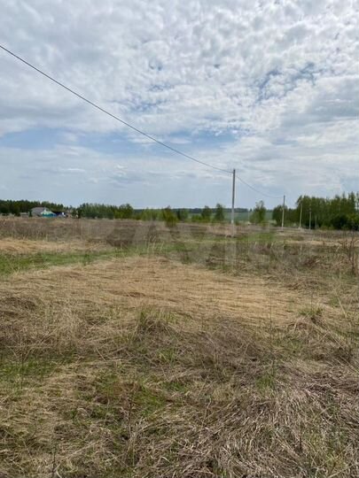 Участок 15 сот. (ИЖС)