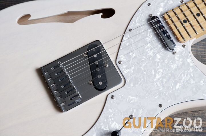 Электрогитара FGN NTL102-WB Telecaster