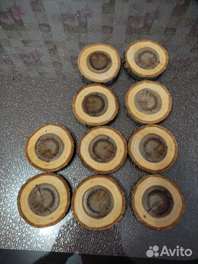 Торцевые спилы деревьев