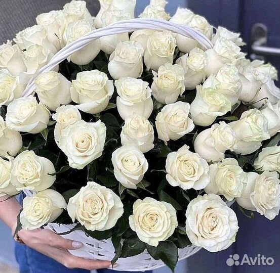 Высокие розы Доставка цветов