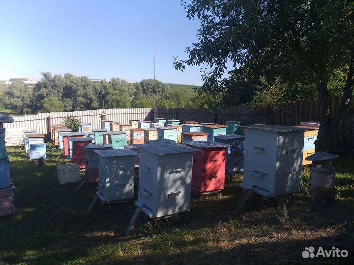 Мед. сбор 2023. Розница и Опт