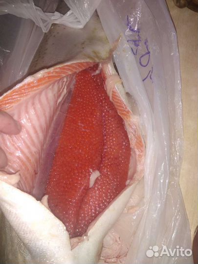 Форель охлажденная из Мурманска
