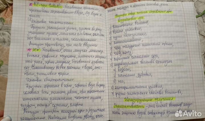 Перепишу конспекты/лекции