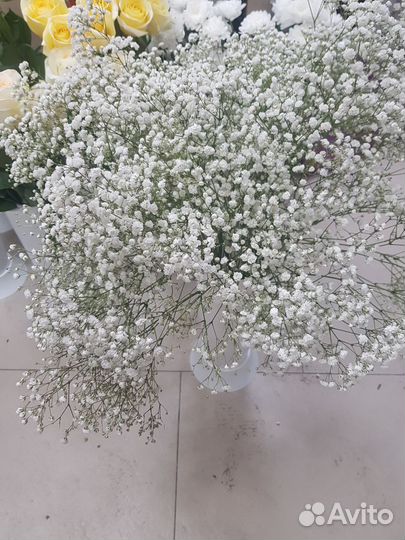 Цветы розы с доставкой