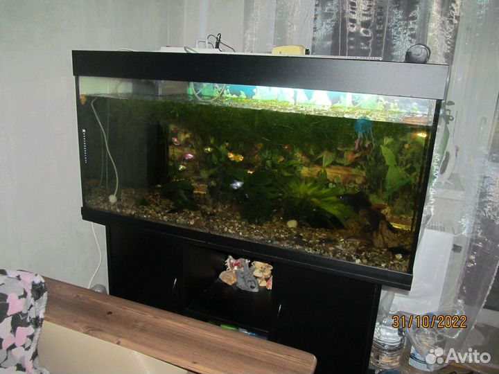Аквариум