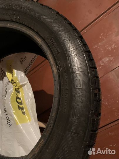 Gislaved NordFrost 100 205/55 R16