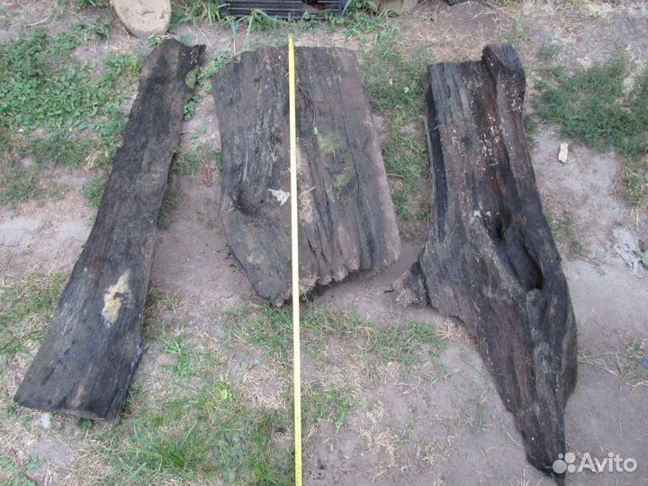 Мореный дуб