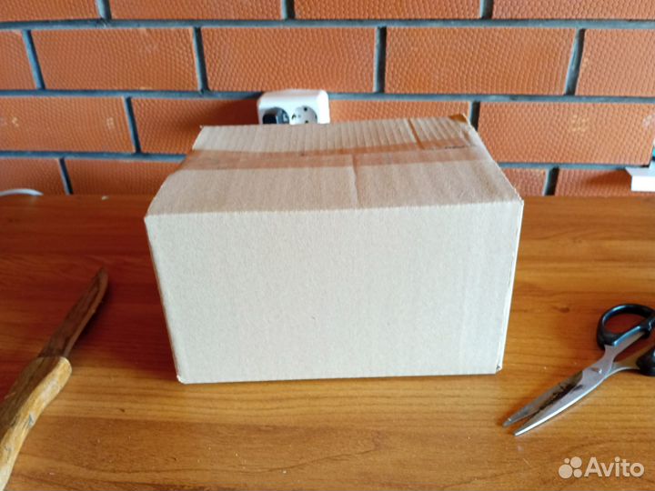 Чага березовая от сборщика