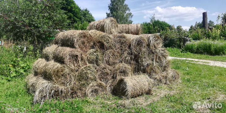 Сено в тюках