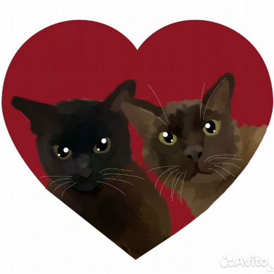 Нарисую Вашего питомца